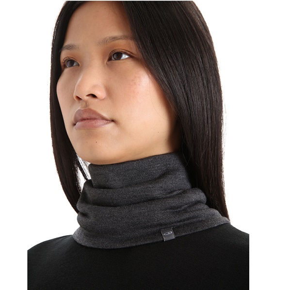 Icebreaker Apex Chute Heath Snowbound